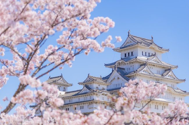 sakura çiçeği efsaneleri